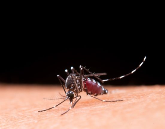 Xanxerê confirma caso importado de dengue