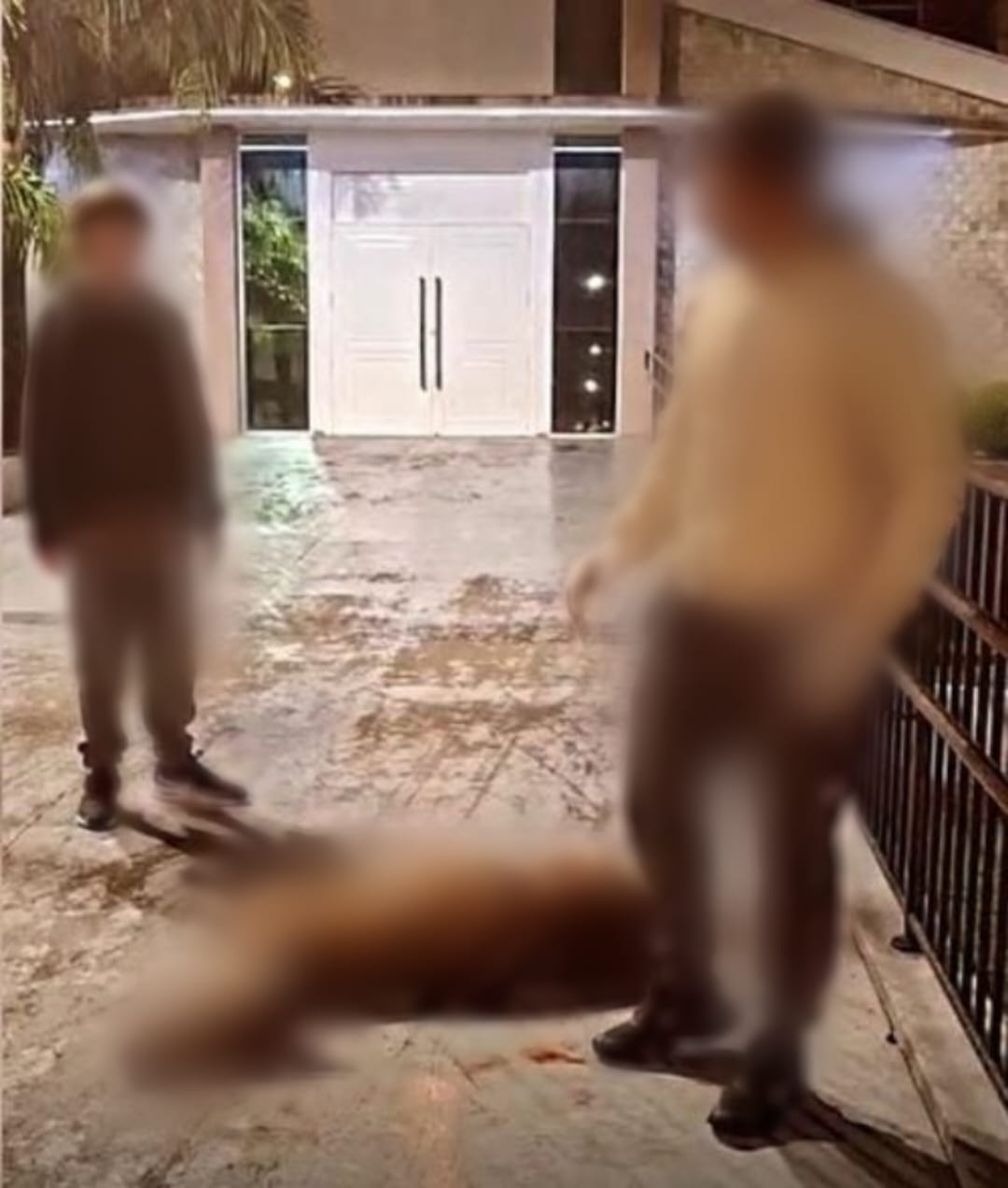 Veado morreu após ser atacado por cães em Irani - Foto Reprodução Instagram de Sandro Pereira