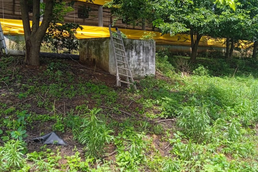 Dois homens passam mal durante manutenção de esterqueira em Águas de Chapecó