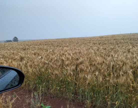Chuva e temporais voltam a atingir Santa Catarina nesta semana
