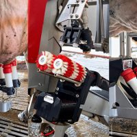 Família de Vargeão aposta em ordenha robotizada e facilita a produção no dia a dia - Fotos Oeste Mais