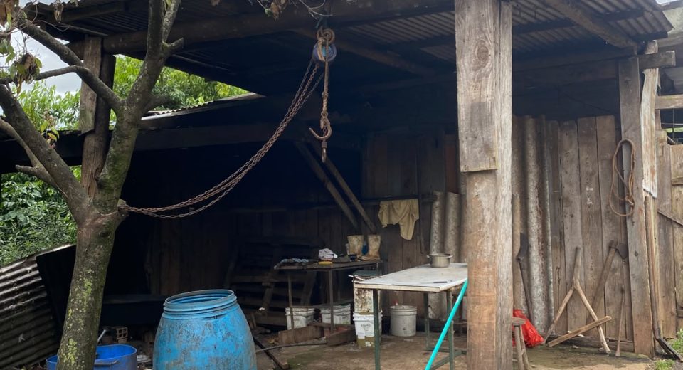 Fiscalização apura maus-tratos a animais e crimes ambientais em Xanxerê