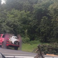 Pessoas são flagradas descartando lixo em local proibido em São Domingos