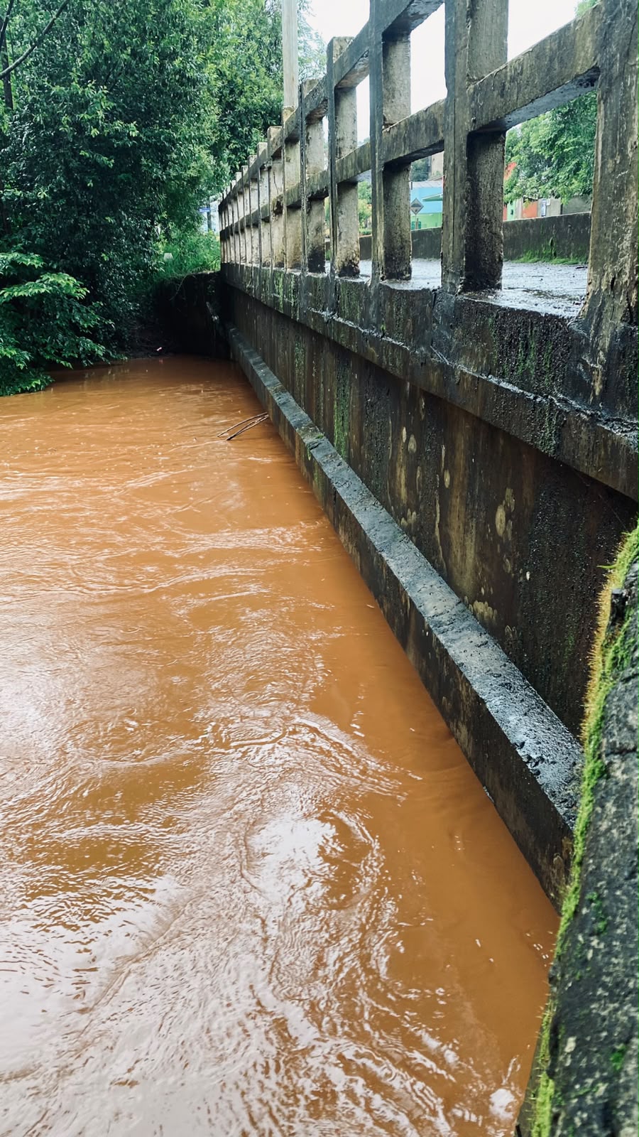 Rio estabiliza após chuva de quase 40 mm em São Domingos