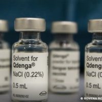 Dengue: 3 milhões de adolescentes estão com vacinação incompleta