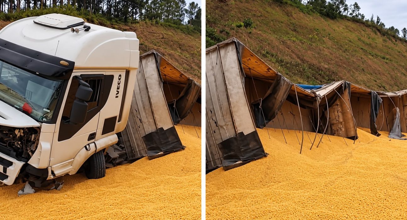 Uma carreta carregada de milho tombou na manhã desta quinta-feira na SC-153 entre Passos Maia e Abelardo Luz - Fotos Divulgação